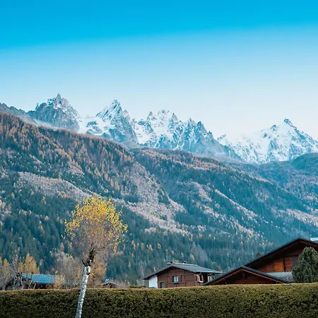Daire La Pagode, Vue Mont-blanc Et Jardin Prive