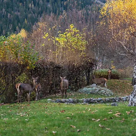 Daire La Pagode, Vue Mont-blanc Et Jardin Prive Chamonix