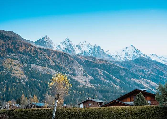 Apartment La Pagode, Vue Mont-blanc Et Jardin Prive