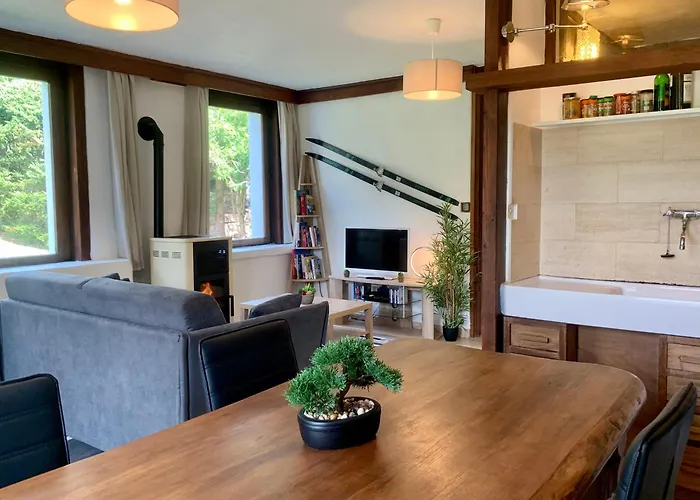 La Pagode, Vue Mont-blanc Et Jardin Privé Apartamento *