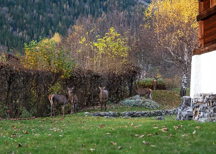 Apartamento La Pagode, Vue Mont-blanc Et Jardin Privé Chamonix Mont Blanc